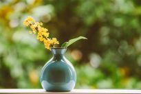春季推新菜无思路？试下用鲜花入馔！